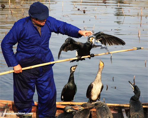 Viajes Guilin ve pesca con cormorán en Liangjiang Sihu 4 Dias