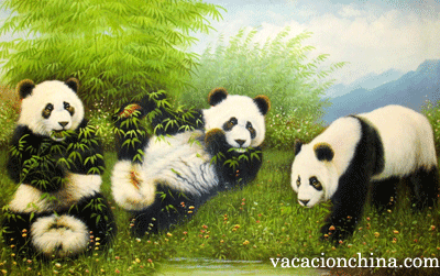 Viajes imperial chino y Oso Panda de Chengdu 19 Dias