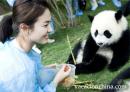 Tour de descubrir Oso Panda China 12 Dias