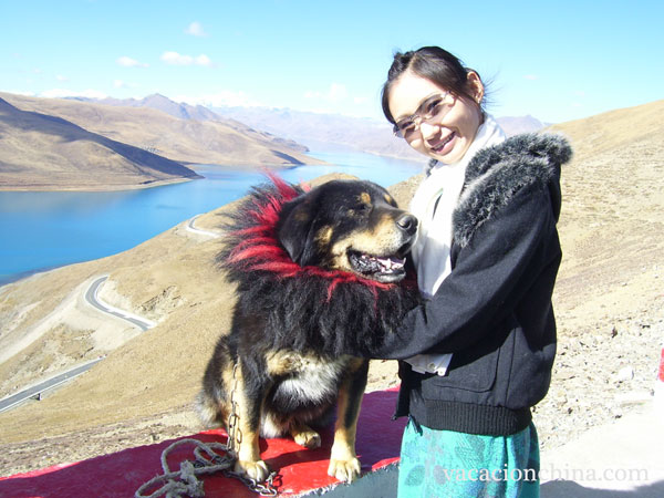 Viaje a Lhasa & Lago Yamdrok 5 Dias