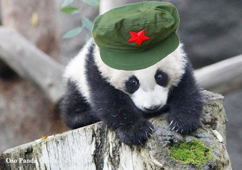 2024 Viajes por China clásicos con Oso Panda de Chengdu 15 Dias