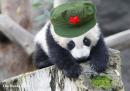 2021 Viajes por China clásicos con Oso Panda de Chengdu 15 Dias