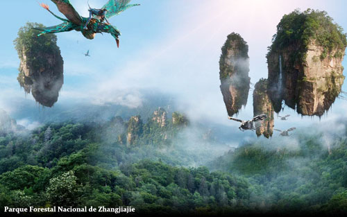 Viajar por Parque Forestal Nacional de Zhangjiajie