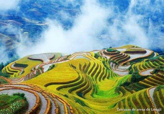 Terrazas de arroz de Longji