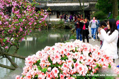Viajar Jardin del Administrador Humilde de Suzhou