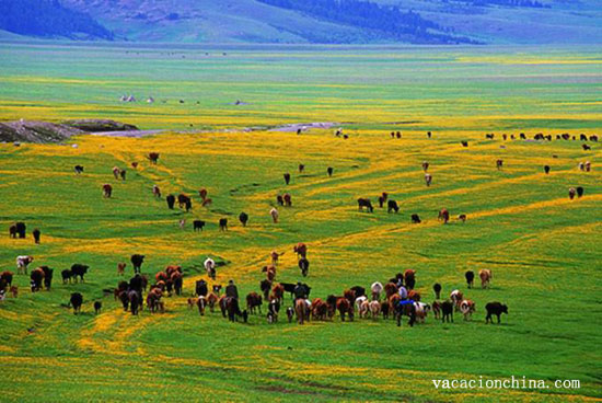 viajes Pastos Nanshan Urumqi
