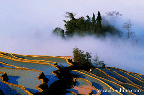 viajes por terrazas de arroz de Yuanyang